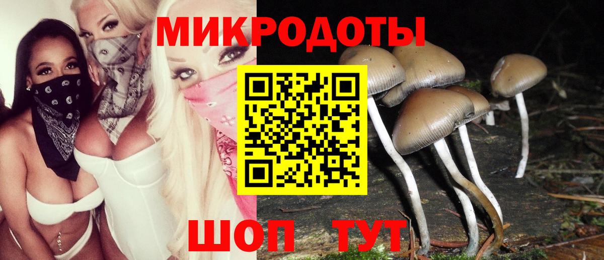Псилоцибиновые грибы MAGIC MUSHROOMS Щёлково